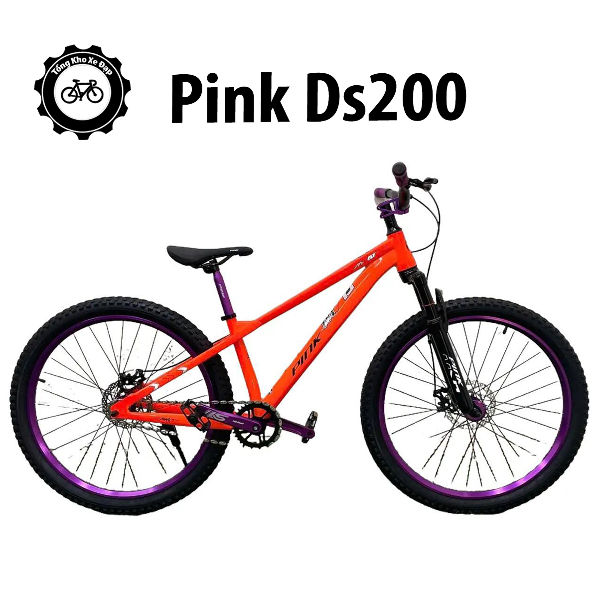 pink ds200