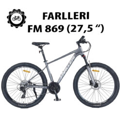 FARLLERI FM869